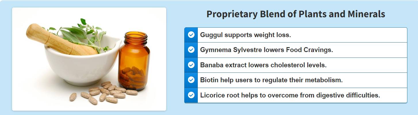 Protetox Supplement Facts
